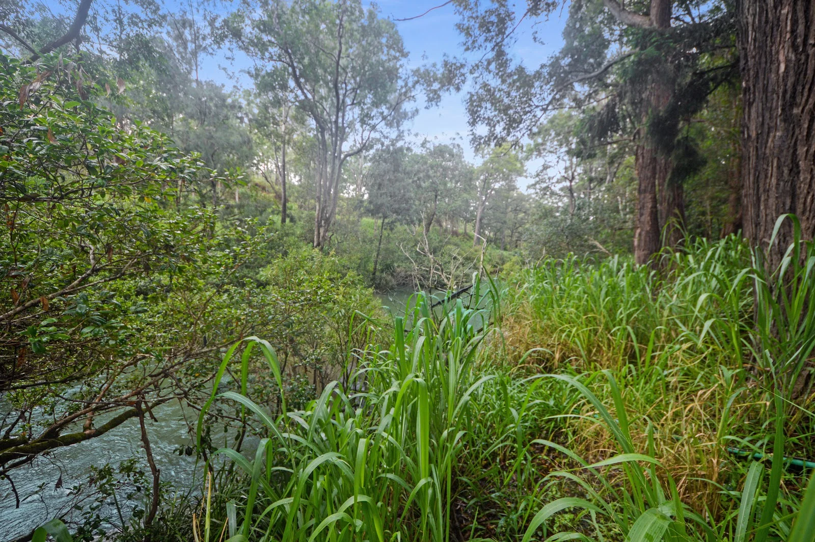 Additional image 3 of 1888 Tumoulin Road, Ravenshoe QLD 4888