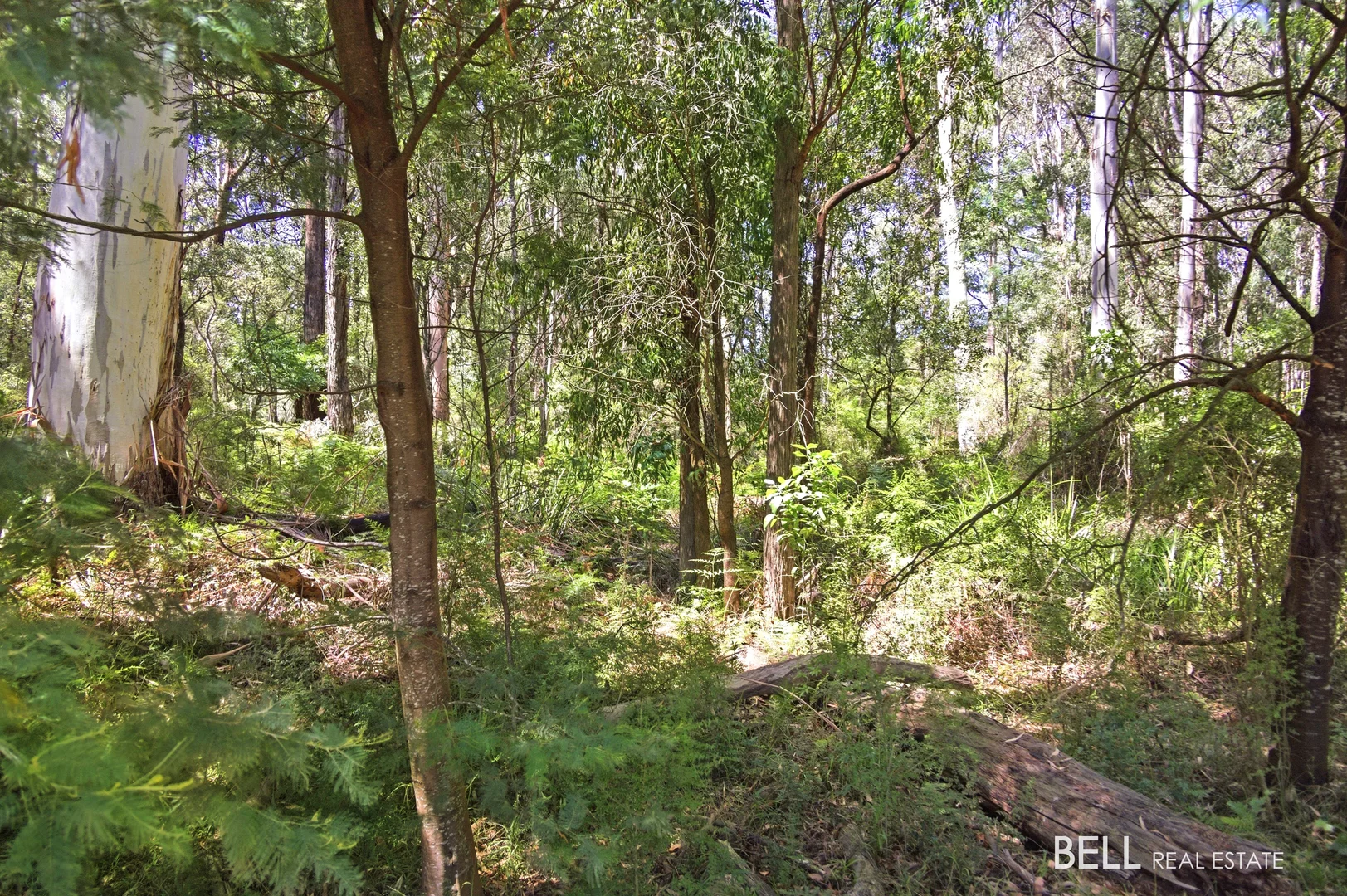 Additional image 8 of 1195 Little Yarra Road, Three Bridges VIC 3797