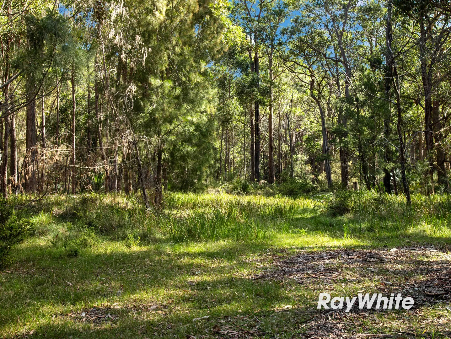 Additional image 4 of Bingie Road, Bergalia NSW 2537