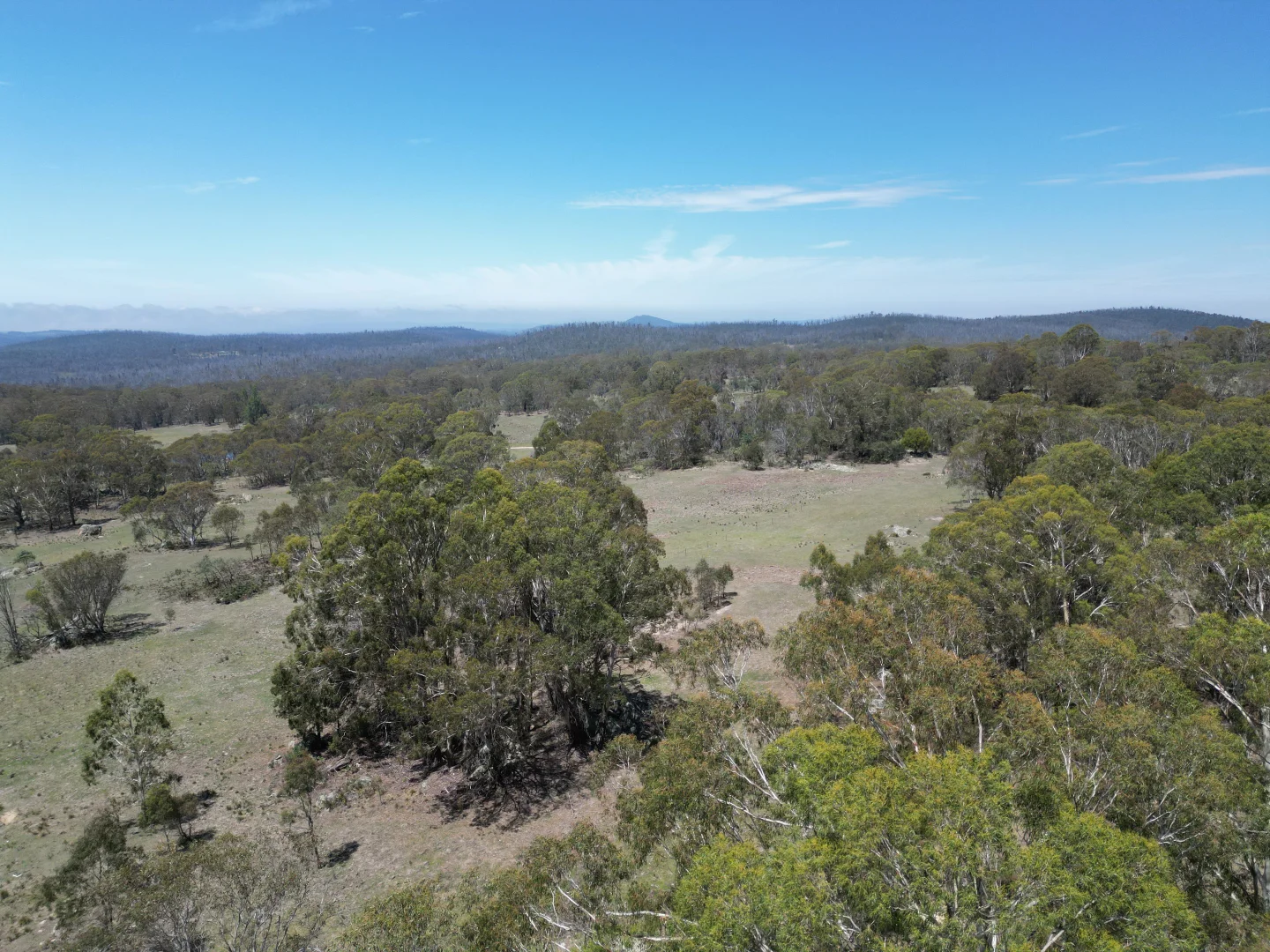 Additional image 20 of Lot 31/31, 175 Tumbledown Road, Peak View NSW 2630
