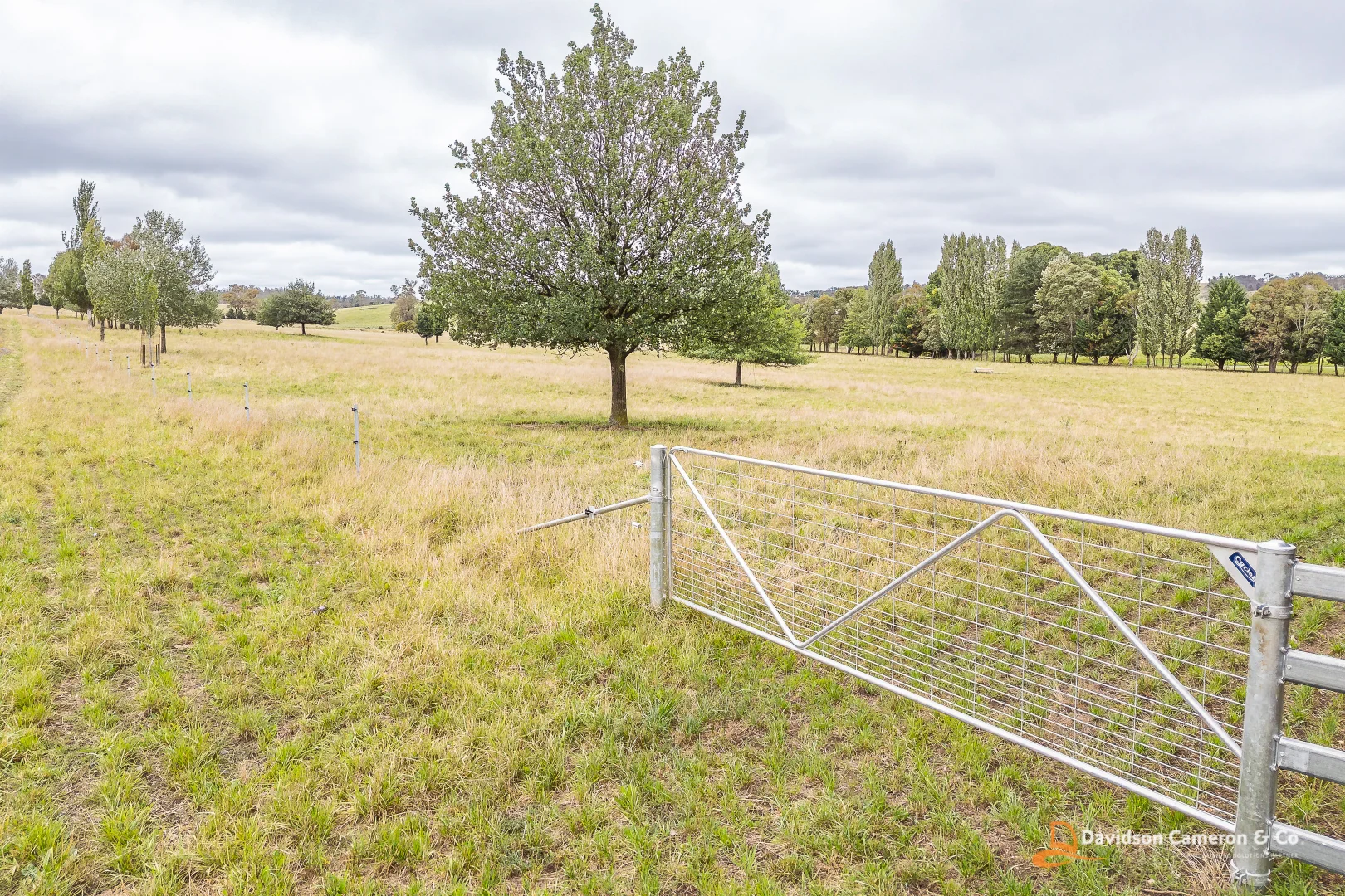 Additional image 14 of "Langleigh" 14503 Thunderbolts Way, Walcha NSW 2354