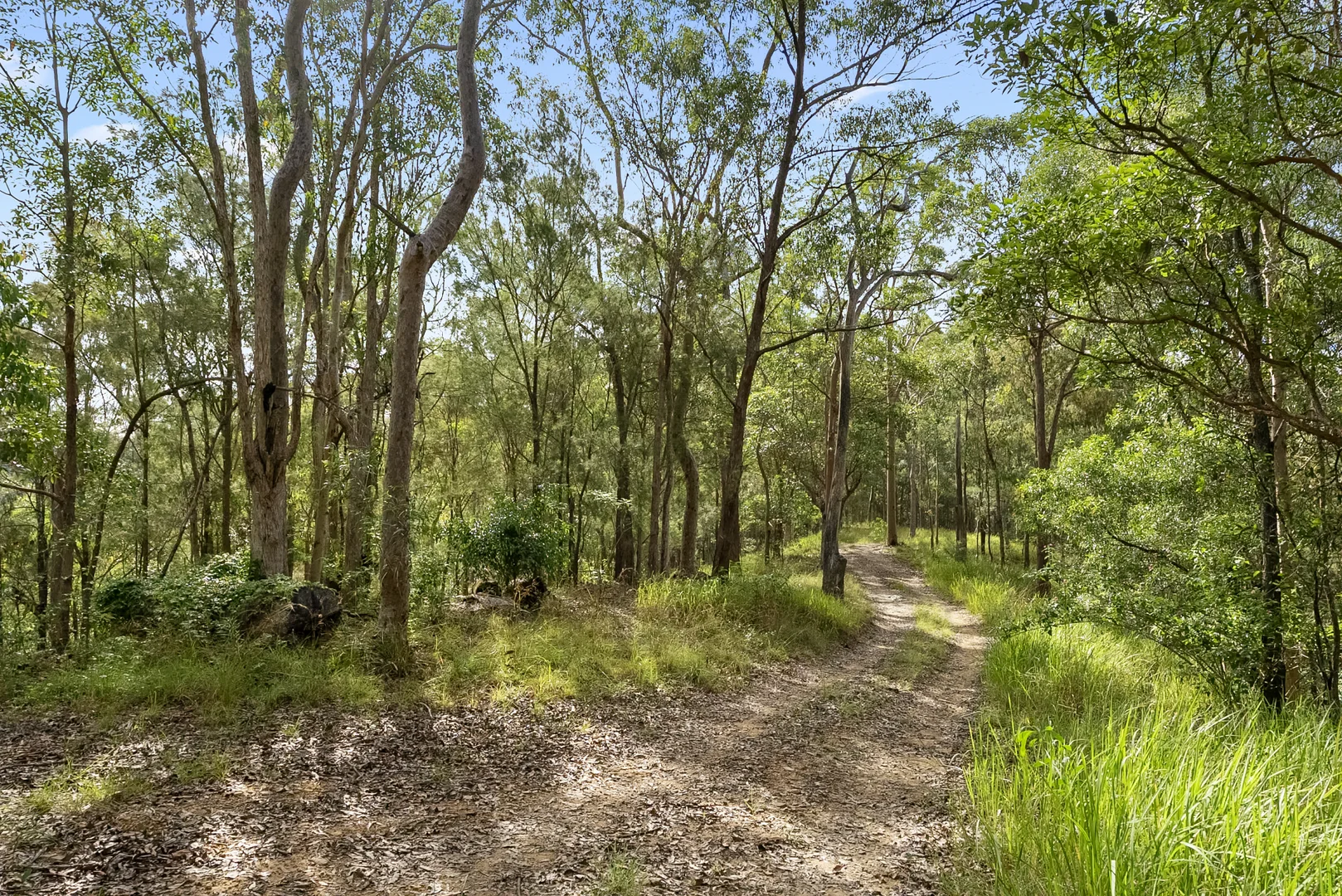 Additional image 11 of Lot 2 Guanaba Creek Road, Guanaba QLD 4210