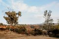 Additional image 58 of 39220 Gray Squirrel Rd, Temecula, CA, 92592