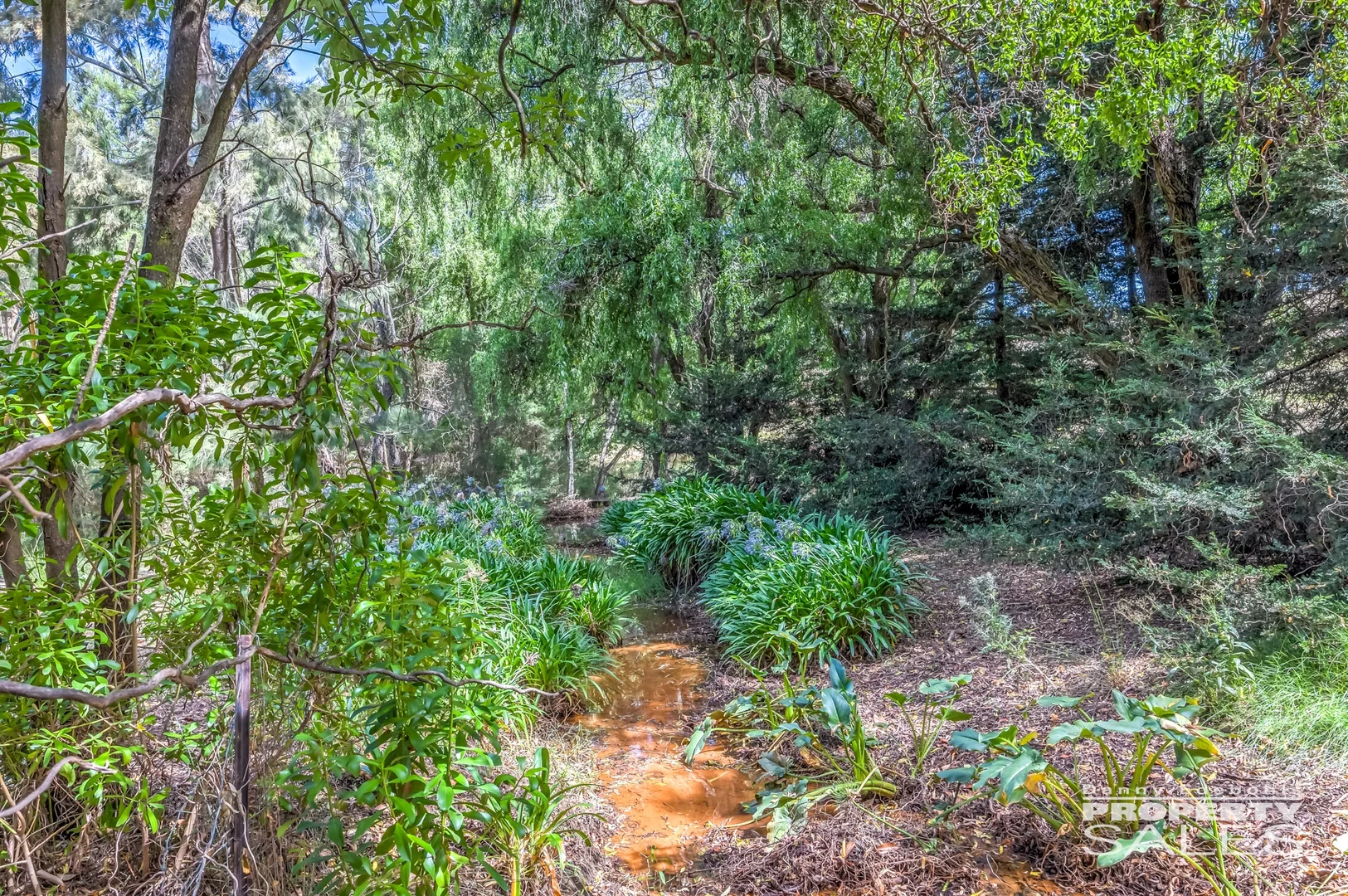 Additional image 27 of 71 Farrells Road, Hill End VIC 3825