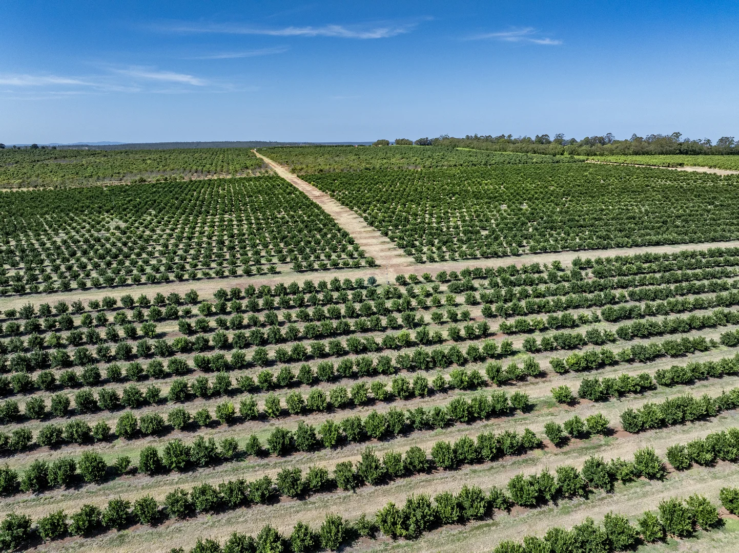 Additional image 6 of Lot 85 Glenrae Dip Road, Boynewood QLD 4626