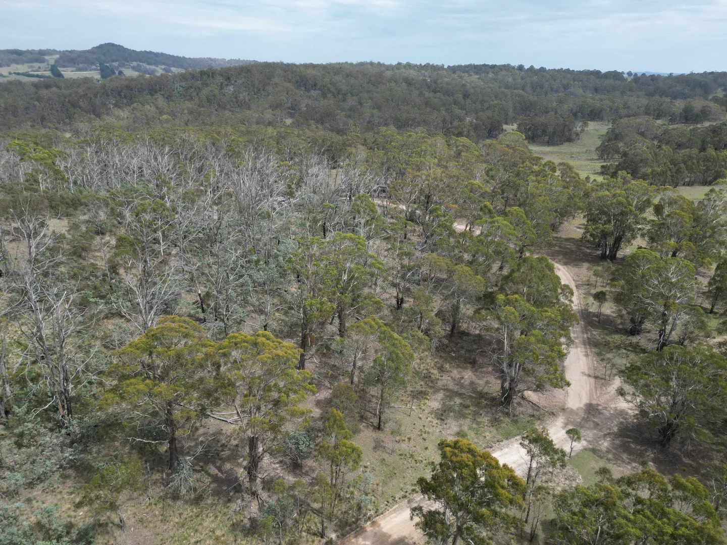 Additional image 26 of Lot 97/97, 175 Tumbledown Road, Peak View NSW 2630