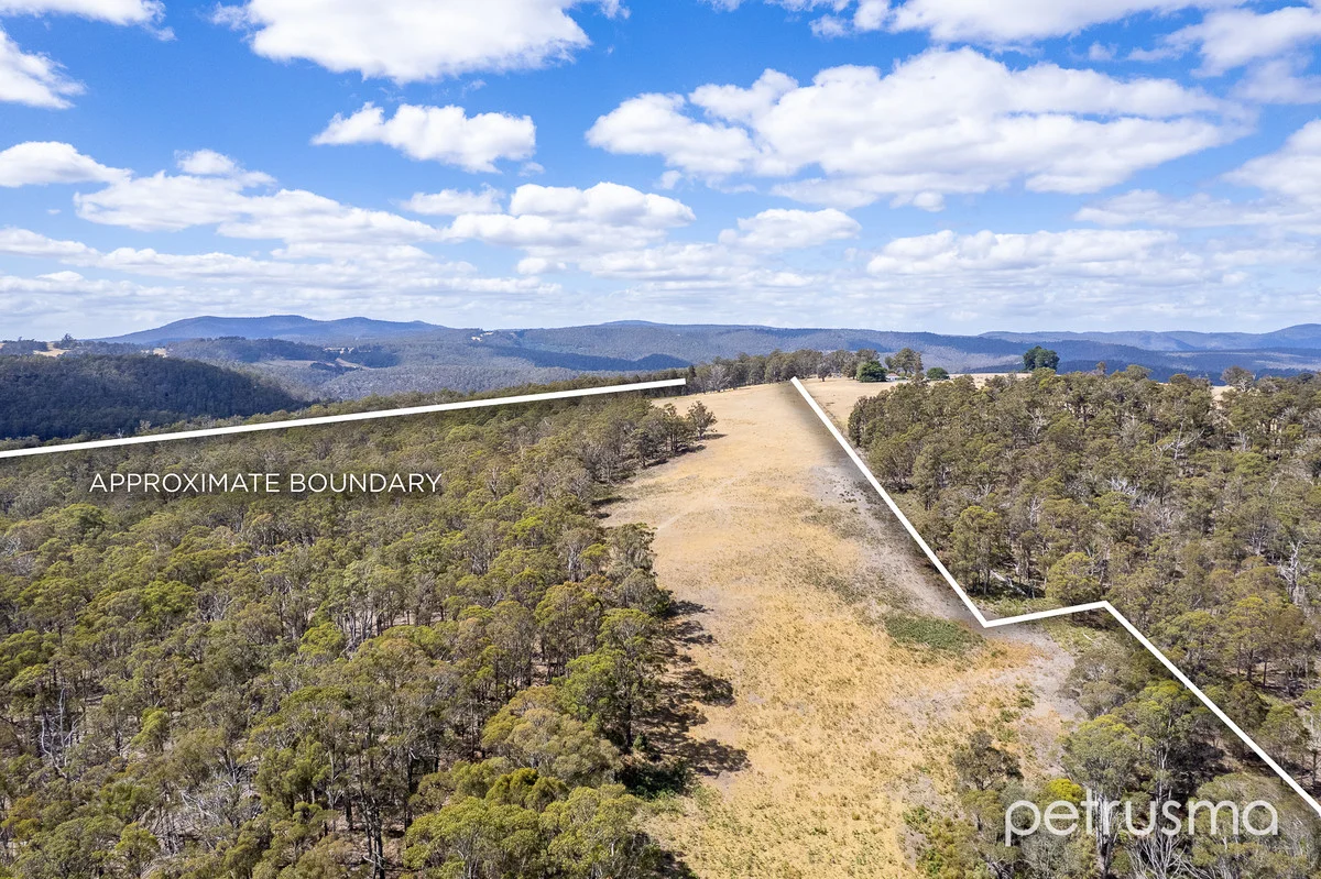 Additional image 38 of 127 Lyalls Road, Tunnack TAS 7120