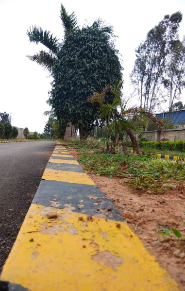 Additional image 3 of Hoskote, Bangalore