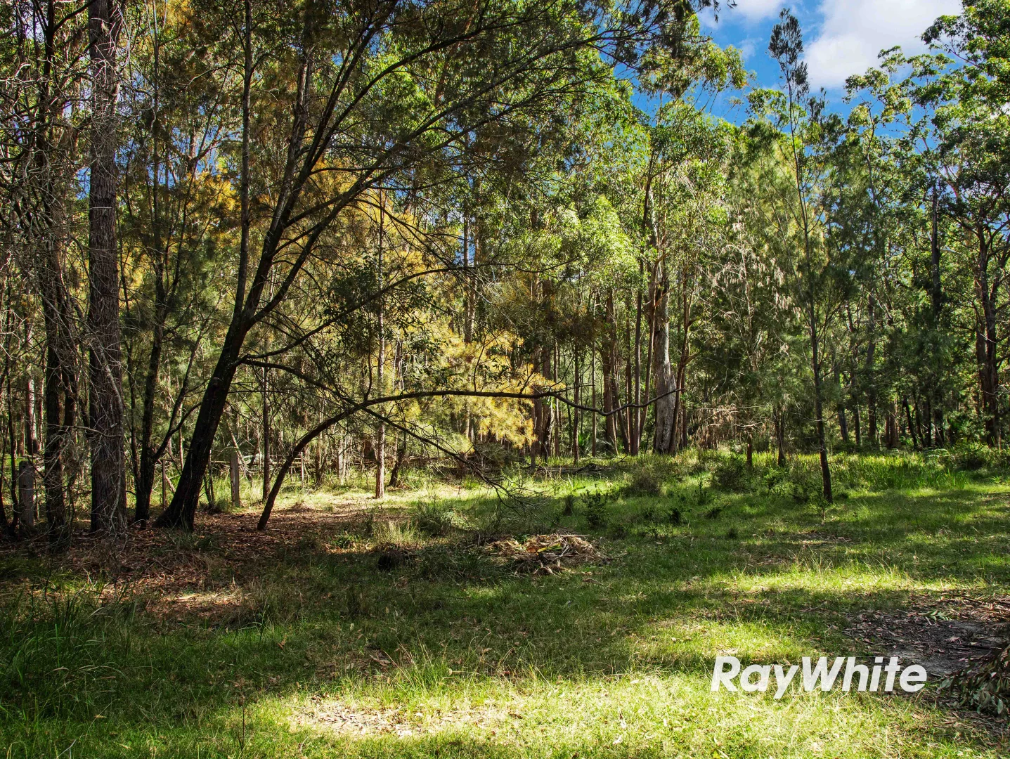 Additional image 20 of Bingie Road, Bergalia NSW 2537