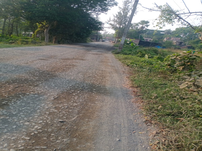 Additional image 2 of Amtala, Kolkata