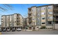 37 103rd Ave NE, Bellevue, WA, 98004