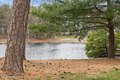 Additional image 43 of 43 Silverspring Dr, Lakewood, NJ, 08701