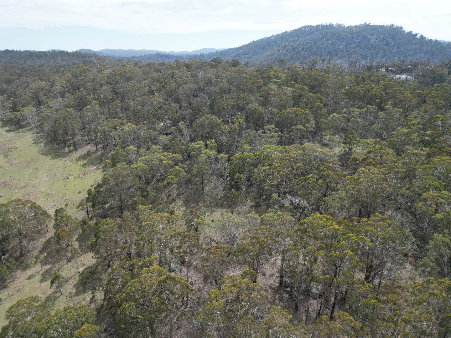 Additional image 5 of Lot 97/97, 175 Tumbledown Road, Peak View NSW 2630