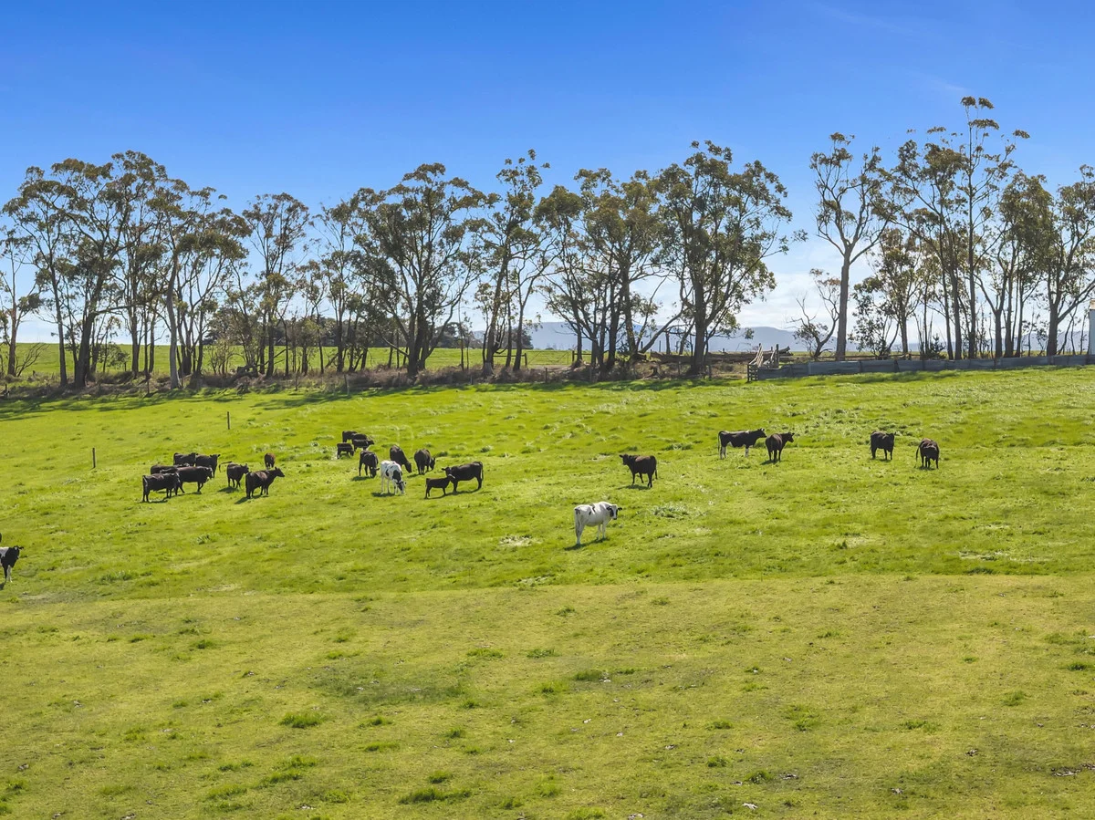 Additional image 10 of 109 Andersons Road, Yarragon VIC 3823
