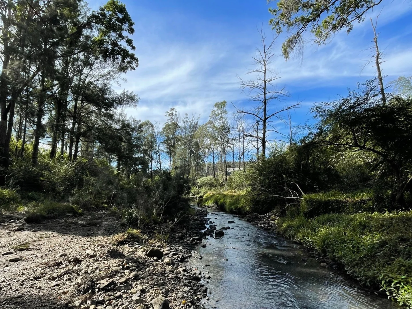 Additional image 3 of Lot 62 Armidale Road, Blaxlands Creek NSW 2460