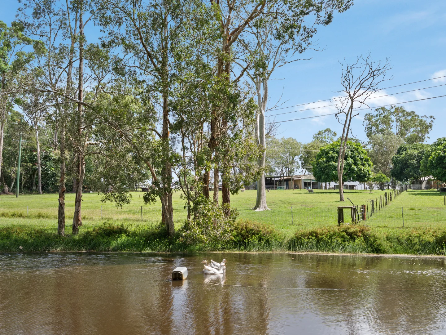 Additional image 23 of 227-237 Scurr Road, Wamuran QLD 4512