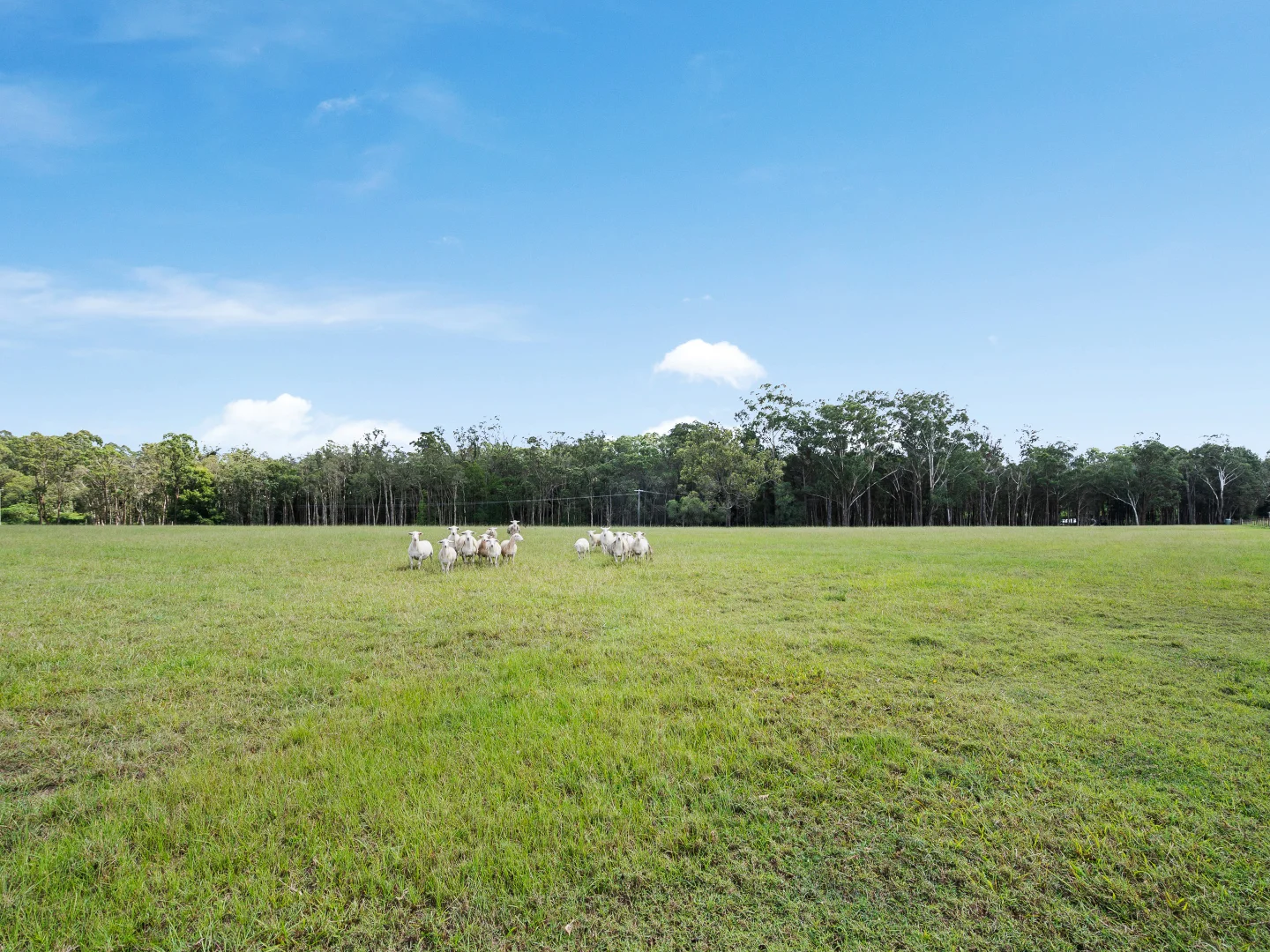 Additional image 35 of 227-237 Scurr Road, Wamuran QLD 4512