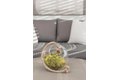 Additional image 97 of 1108 S St, Sacramento, CA, 95811