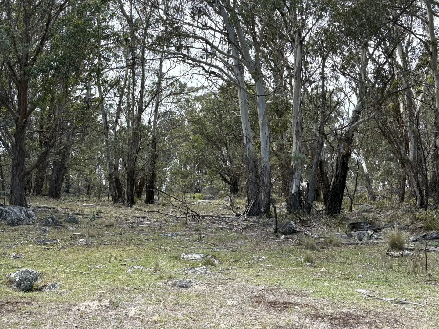 Additional image 7 of Lot 31/31, 175 Tumbledown Road, Peak View NSW 2630