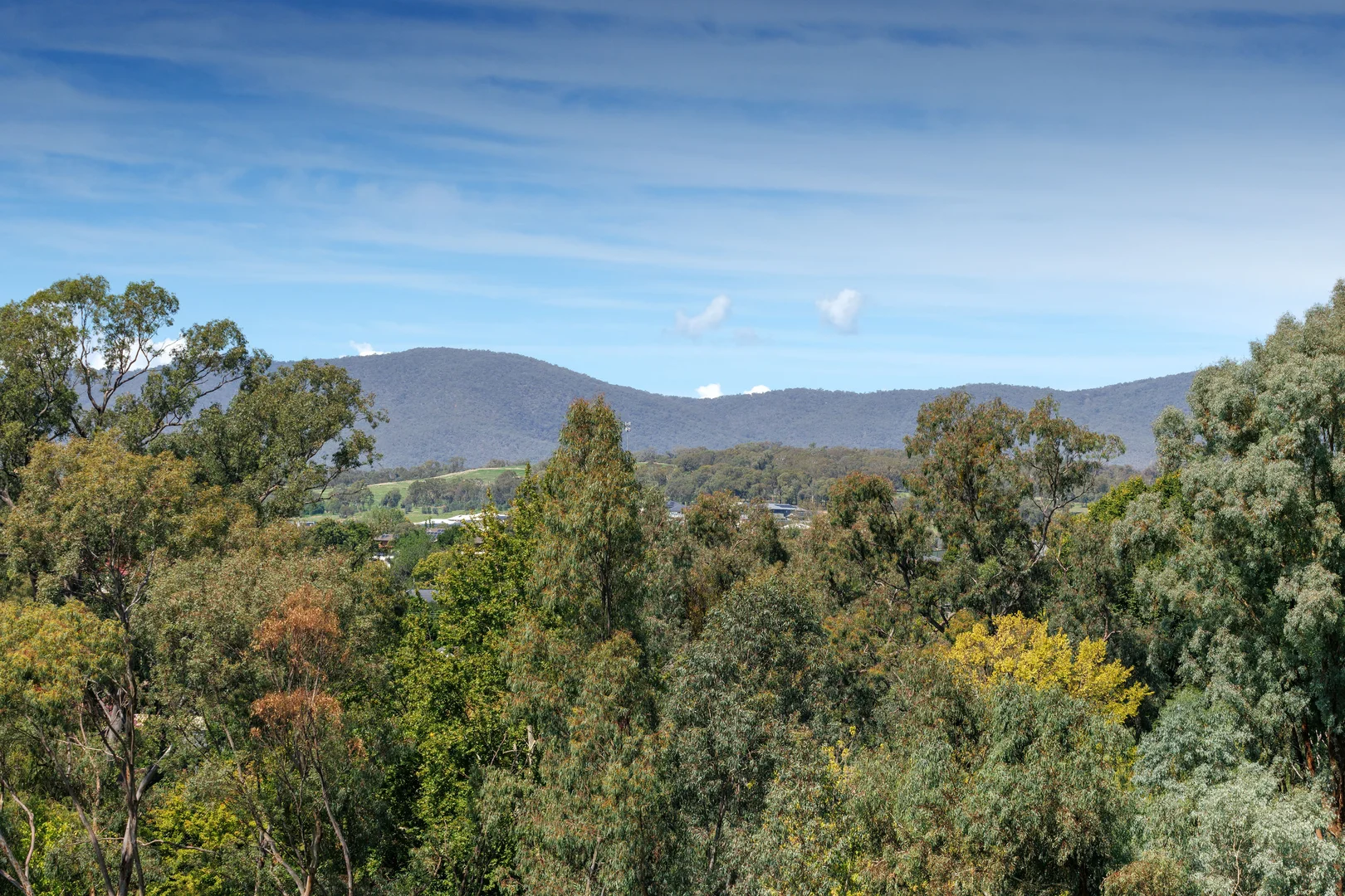 Additional image 4 of 64 Clarendon Avenue, Wodonga VIC 3690