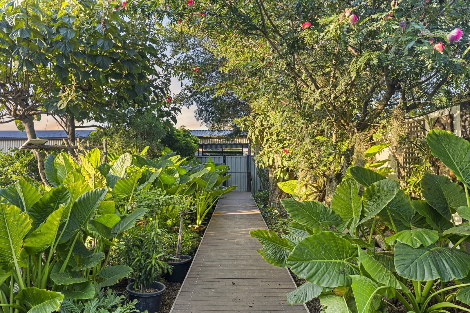 Additional image 3 of 150 Cessnock Road, Maitland NSW 2320