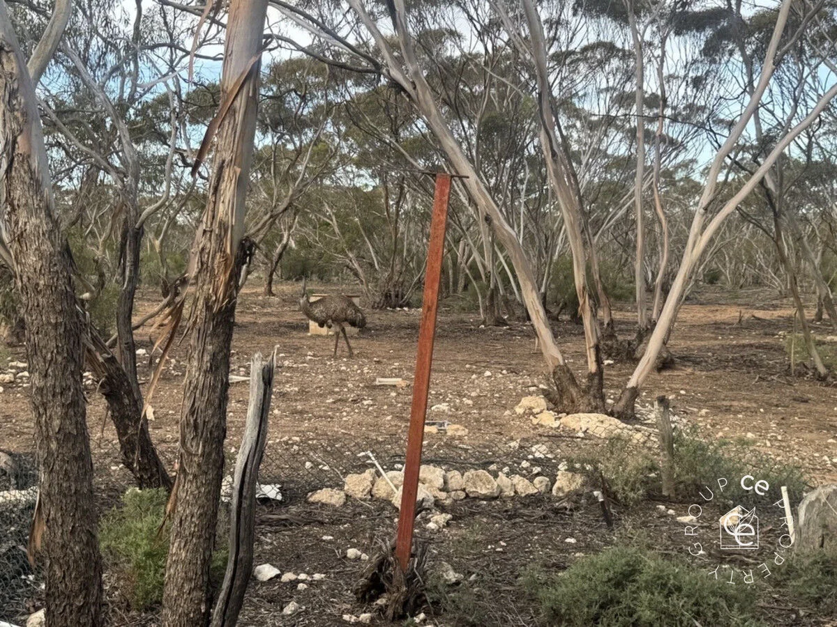 Additional image 3 of 385 Pipeline Road, Fisher SA 5354