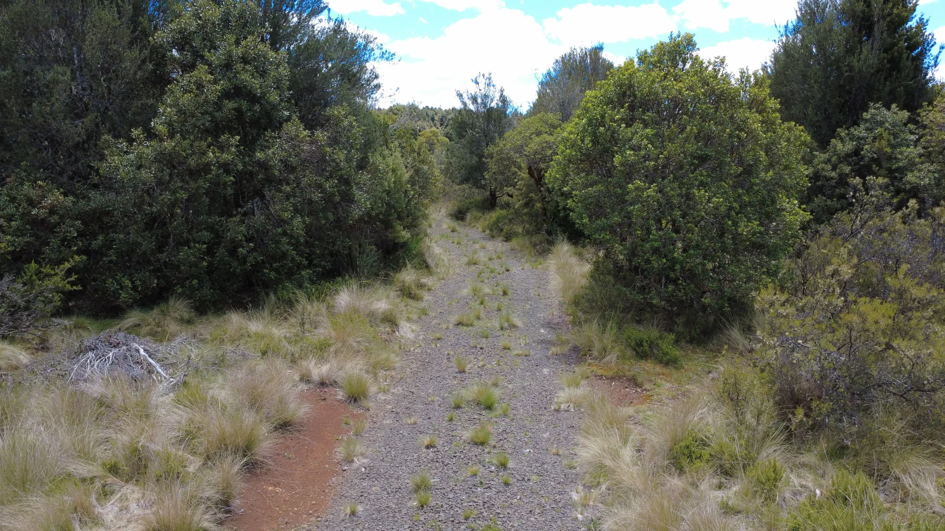 Additional image 4 of 396 Waratah Rd, Waratah TAS 7321