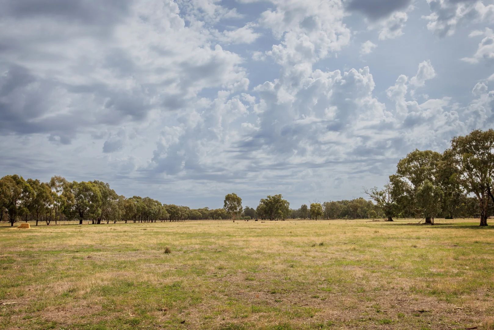 Additional image 4 of 61-77 Wilson Street, Howlong NSW 2643