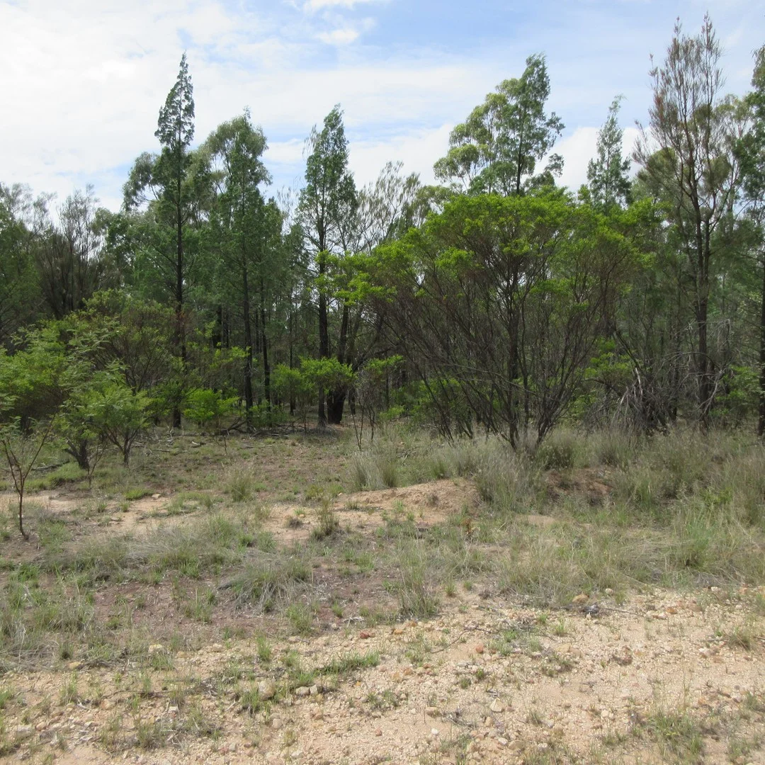 85 Harwoods Road, Tara QLD 4421