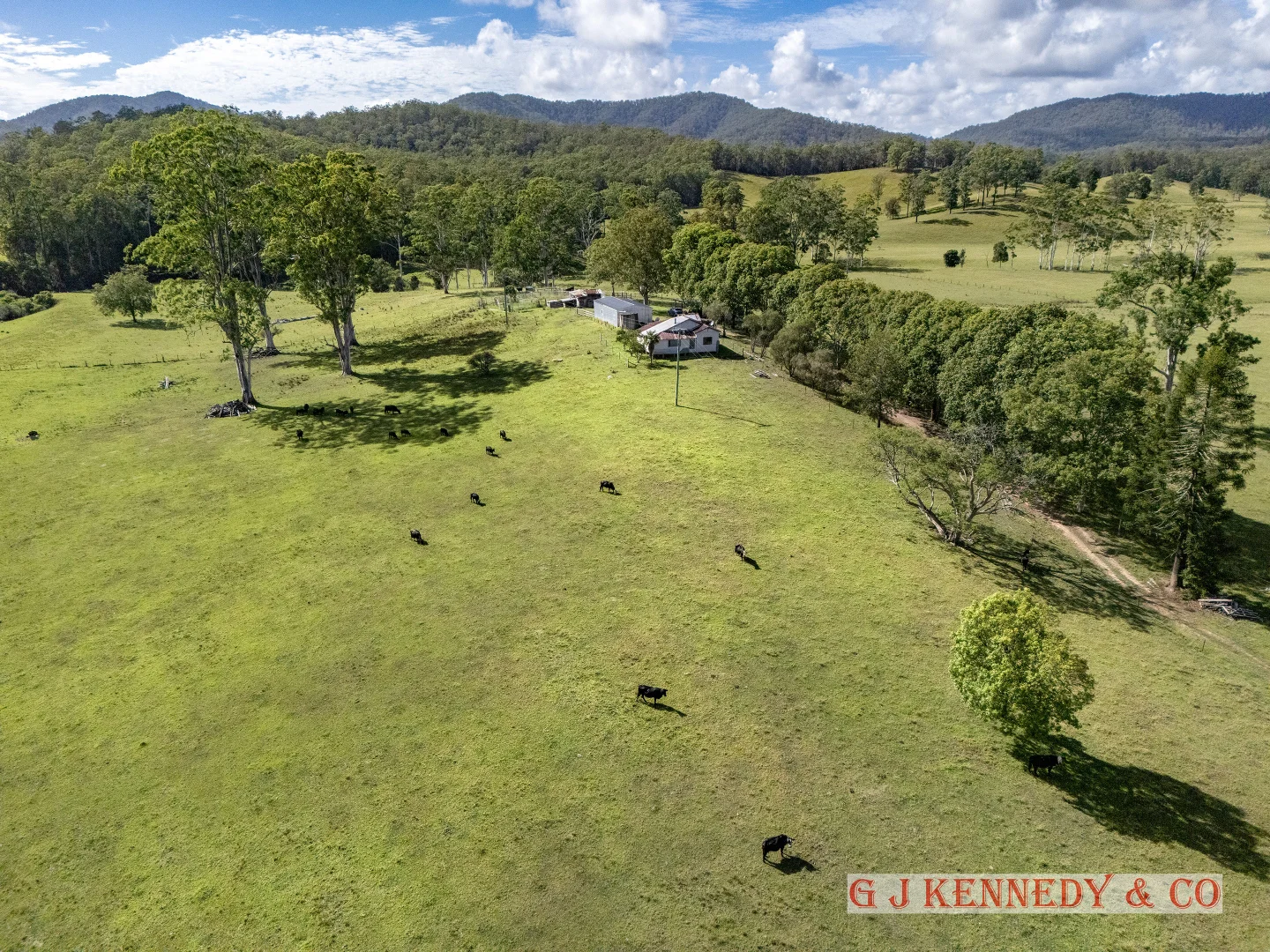 Additional image 11 of 223 Bakers Creek Road, Taylors Arm NSW 2447
