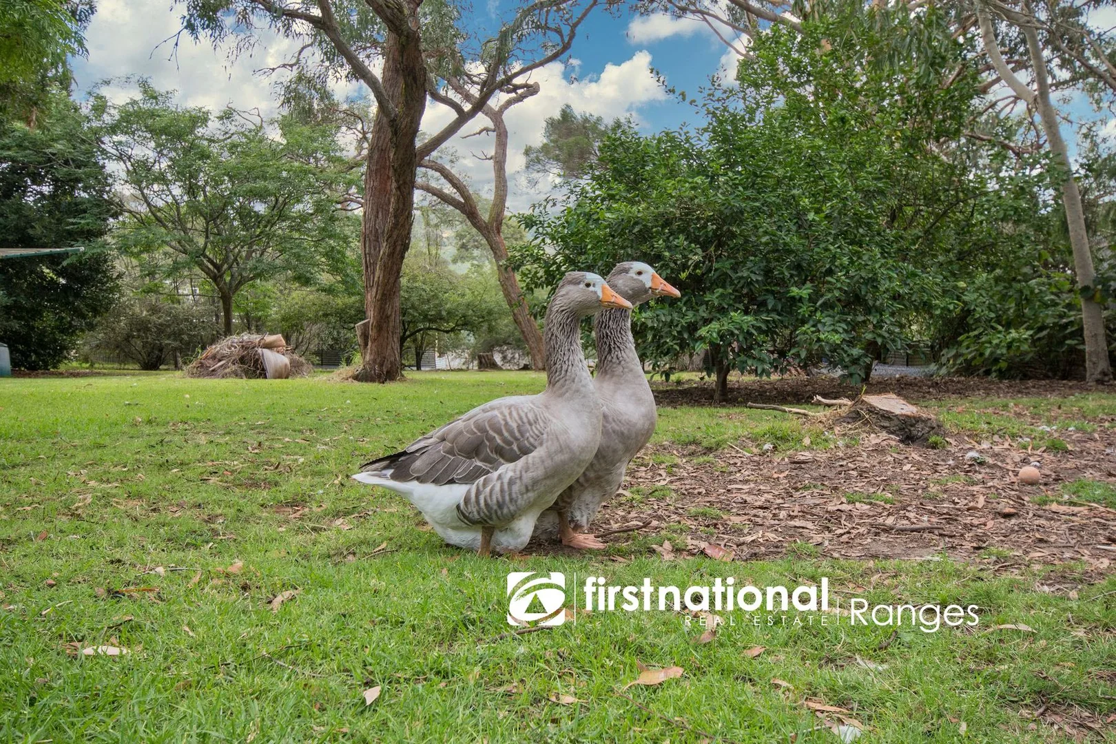 Additional image 26 of 39 Courtneys Road, Belgrave South VIC 3160