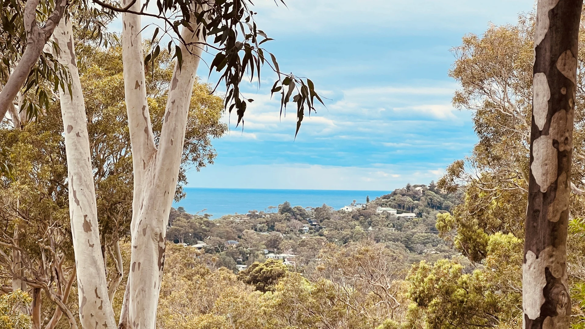 Additional image 24 of 13 Wandearah Avenue, Avalon Beach NSW 2107