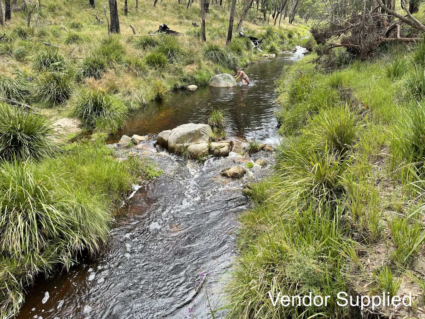 Additional image 4 of 1224 Mount Mckenzie Road, Tenterfield NSW 2372