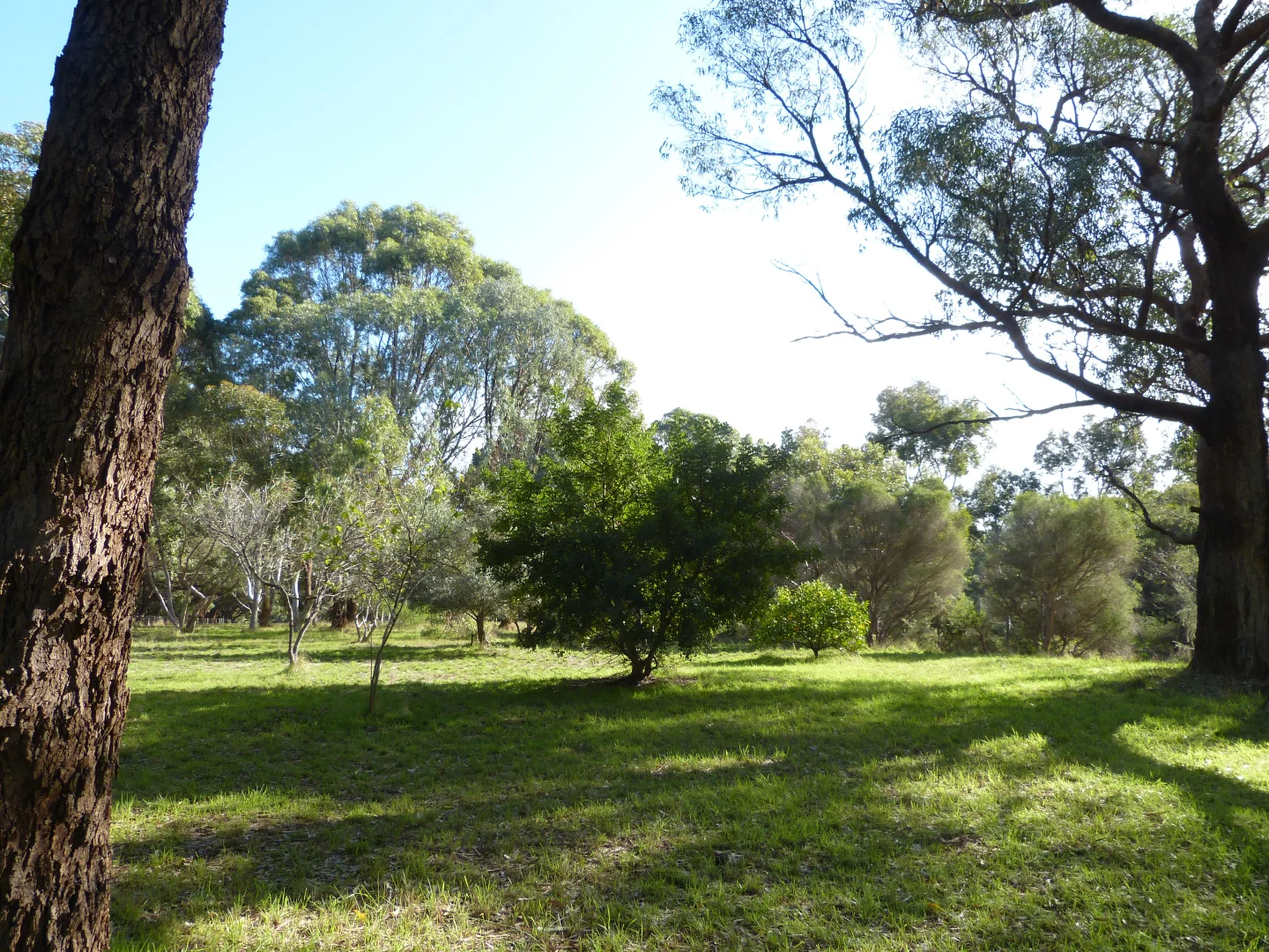 Additional image 4 of Lot 6/338 Fletcher Road, Karnup WA 6176