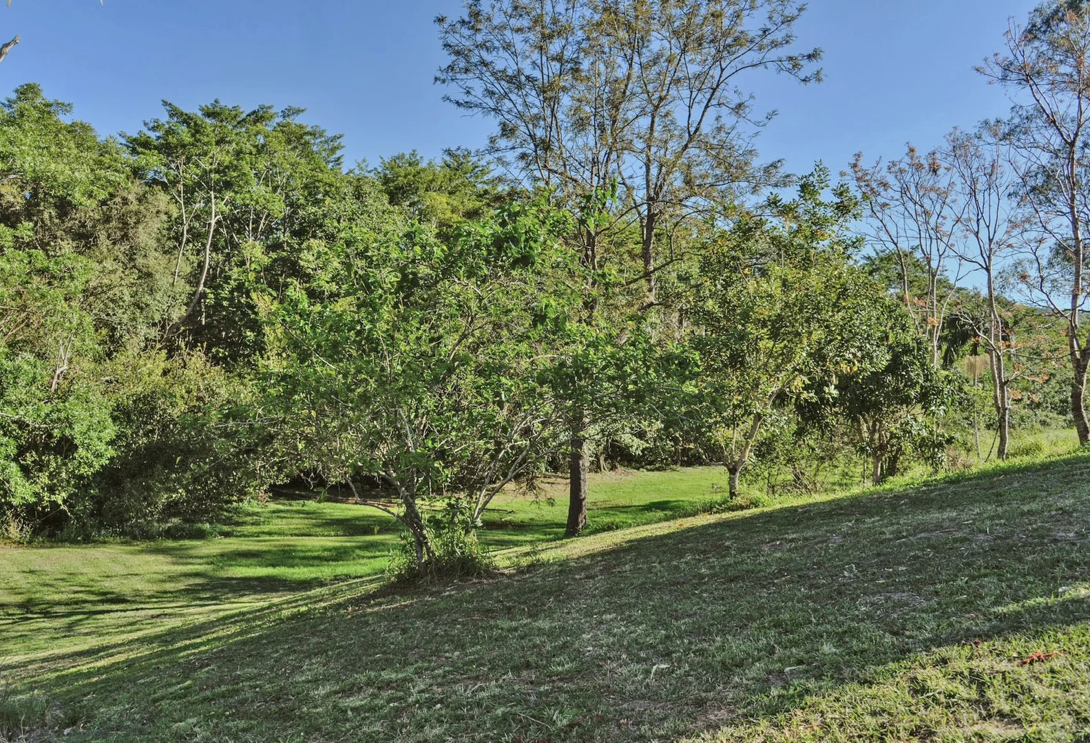Additional image 32 of 61 Mooloolah Meadows Drive, Mooloolah Valley QLD 4553