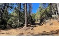 Additional image 11 of Yuletide Way, Georgetown, CA, 95634