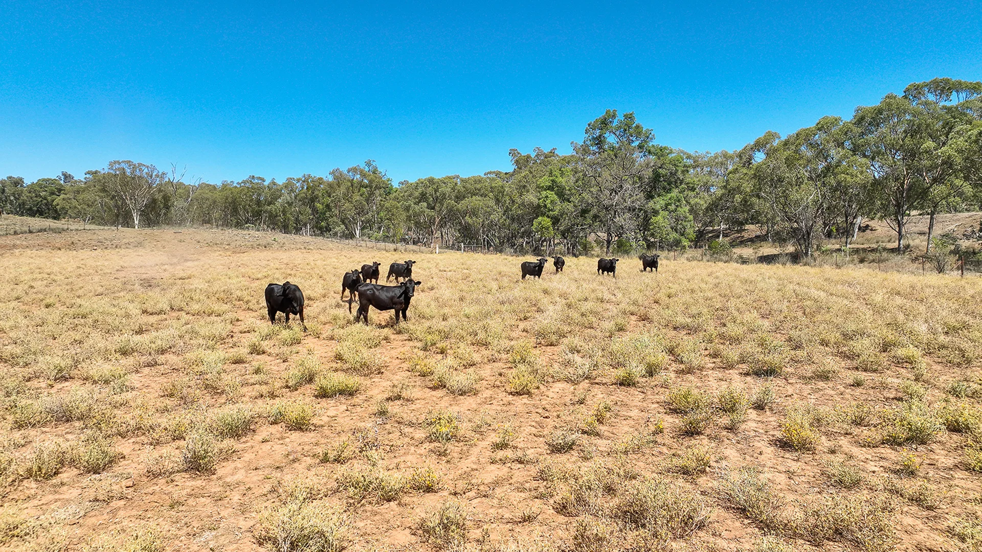 Additional image 22 of 6702A MANILLA ROAD, Red Hill NSW 2347