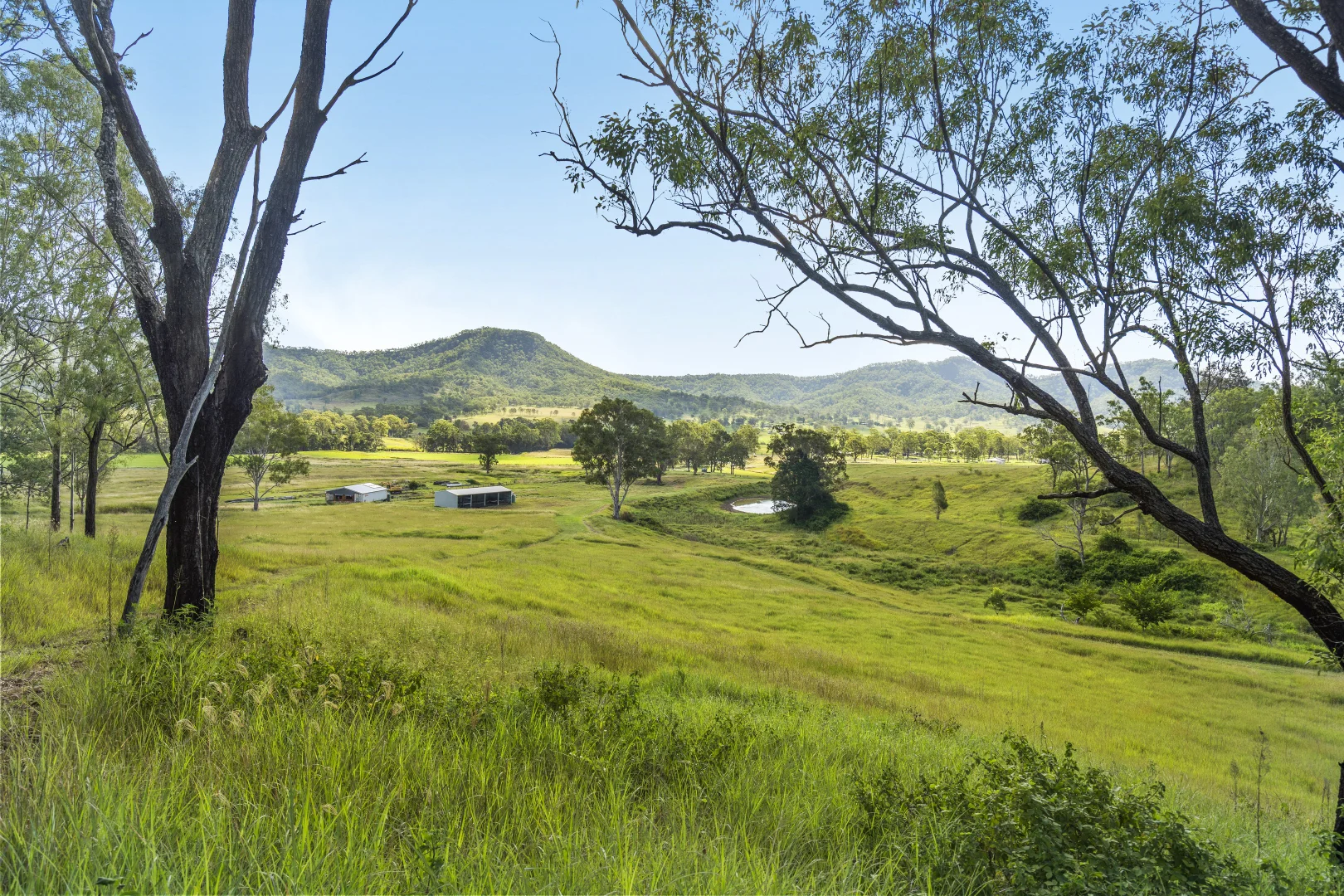 Additional image 9 of 1554 Duck Creek Road, Kerry QLD 4285
