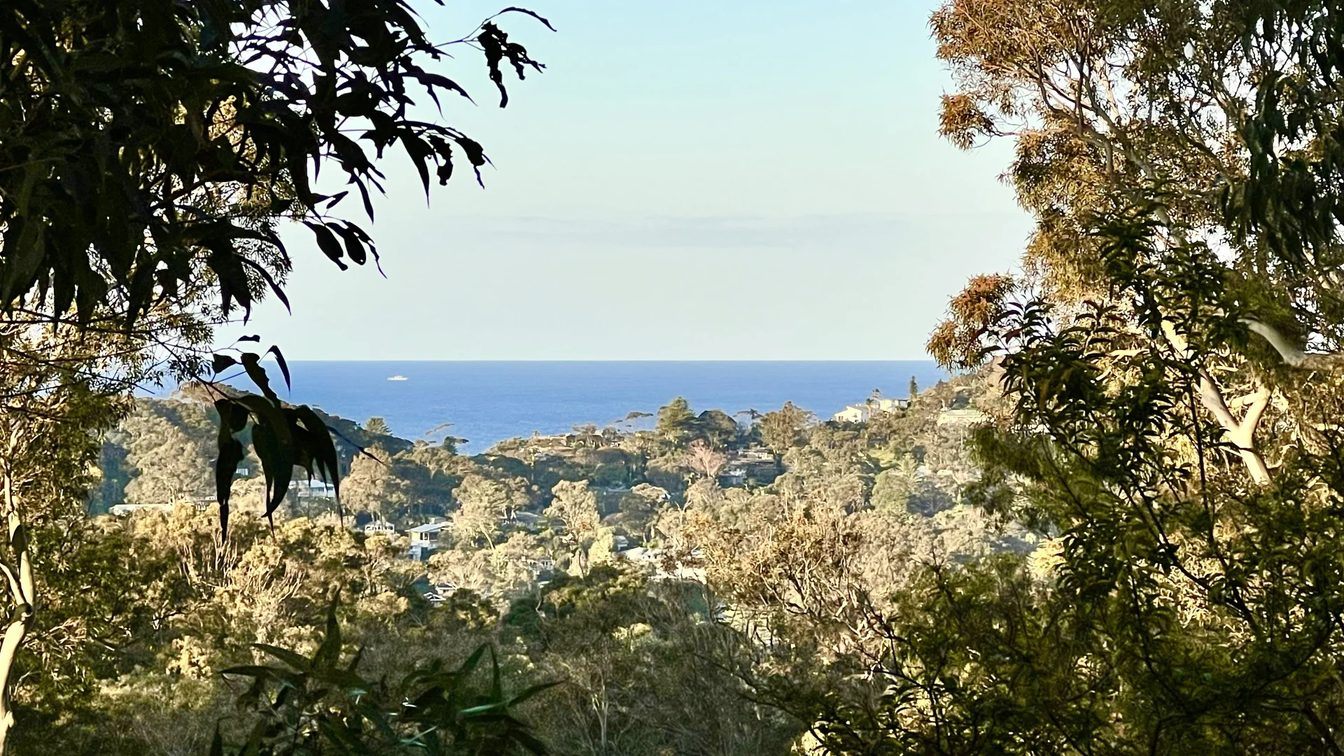 Additional image 23 of 13 Wandearah Avenue, Avalon Beach NSW 2107