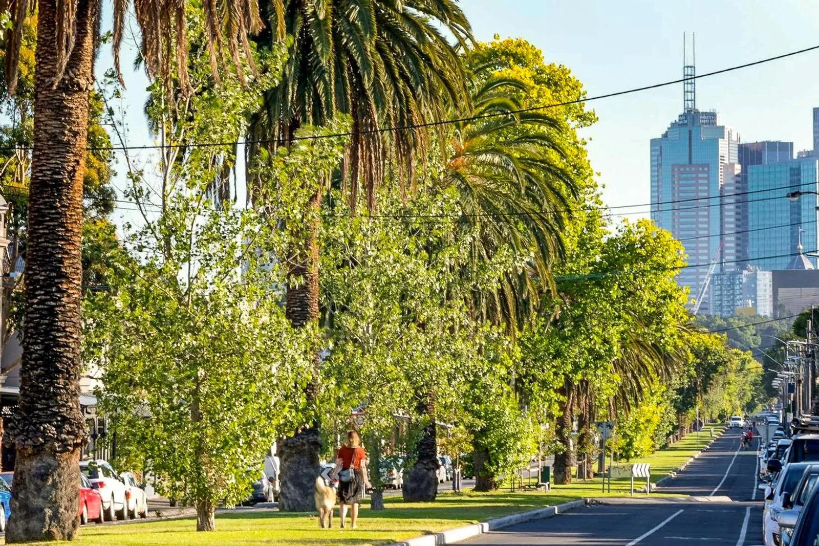Additional image 18 of 169 Pigdon Street, Carlton North VIC 3054