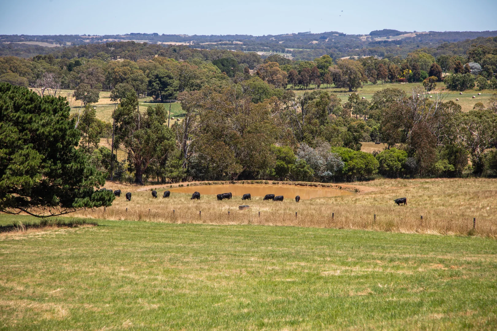 Additional image 4 of 315 Bugle Range Road, Macclesfield SA 5153