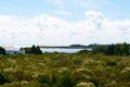 Additional image 5 of 149 Seascape Ln, Sagaponack, NY, 11962
