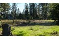 Additional image 4 of 660 Chief Kelly Dr, Nevada City, CA, 95959