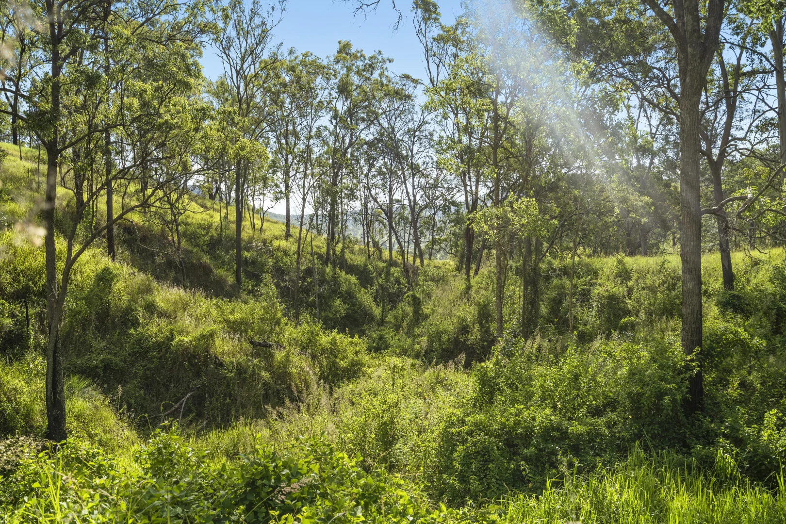 Additional image 17 of 1554 Duck Creek Road, Kerry QLD 4285