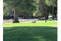 Additional image 10 of 115 Lake Almanor West Dr, Chester, CA, 96020