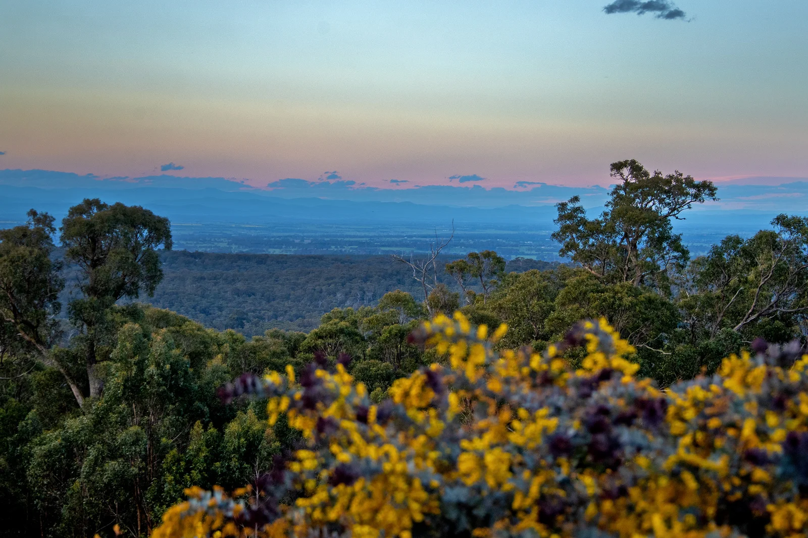 Additional image 47 of 300 Old Callignee Road, Callignee VIC 3844