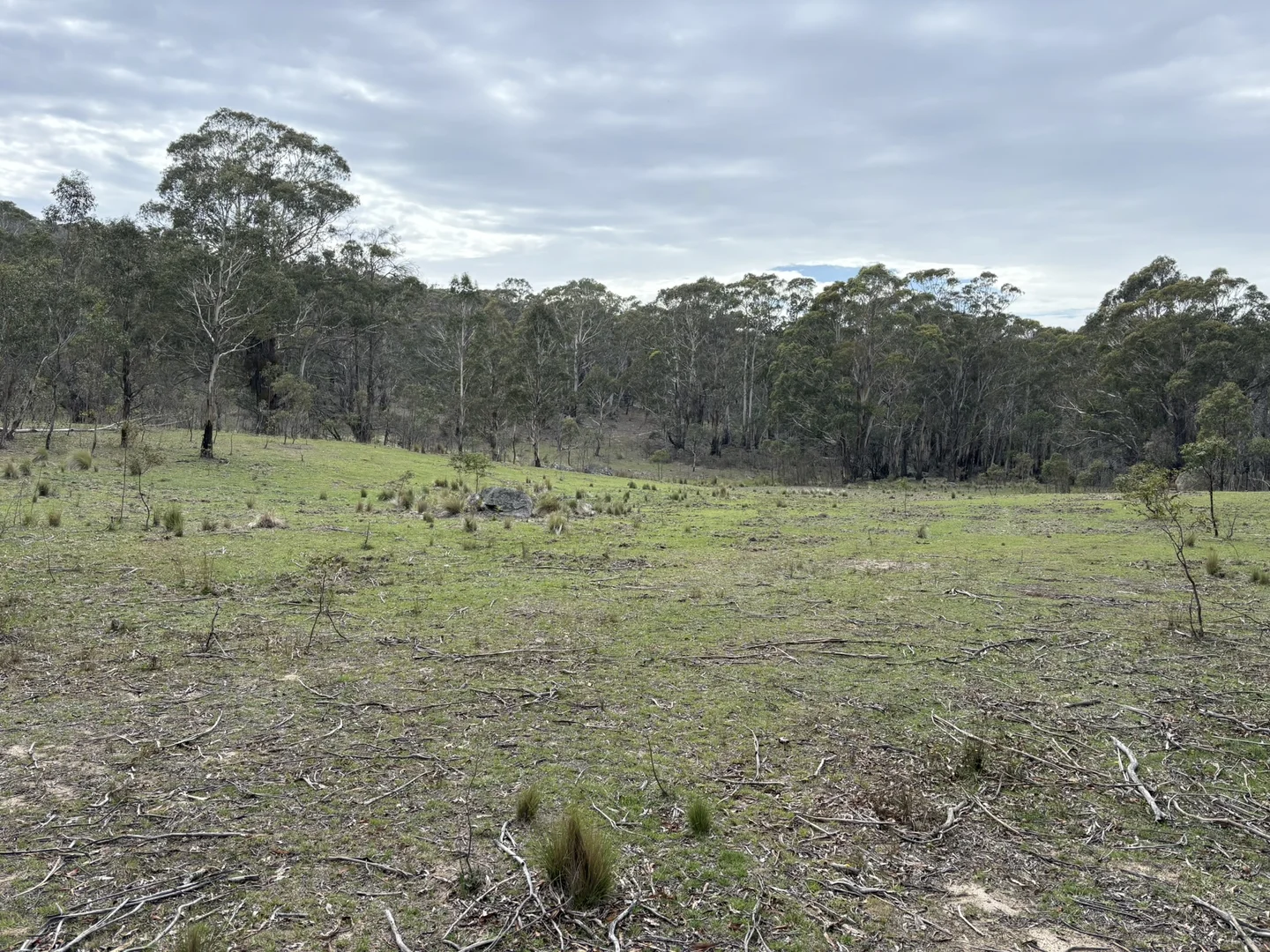 Additional image 14 of Lot 97/97, 175 Tumbledown Road, Peak View NSW 2630