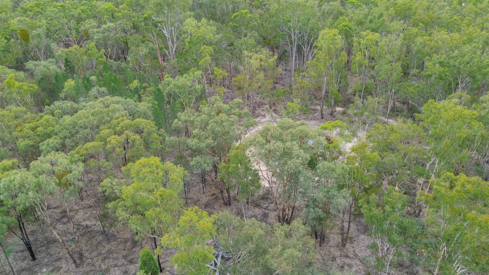 Additional image 6 of 106 Biggs Road, Oman Ama QLD 4352