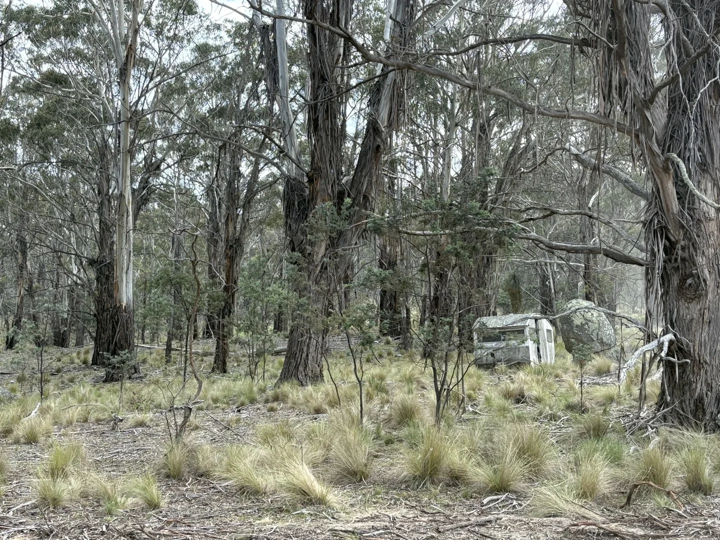 Additional image 8 of Lot 97/97, 175 Tumbledown Road, Peak View NSW 2630