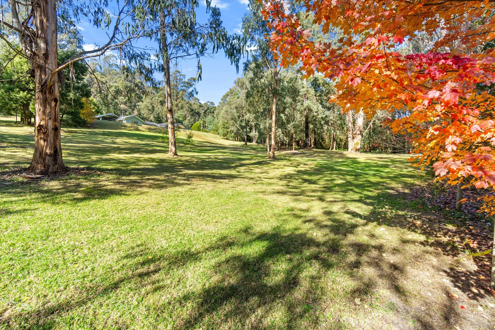 Additional image 35 of 1565 Traralgon Creek Road, Koornalla VIC 3844